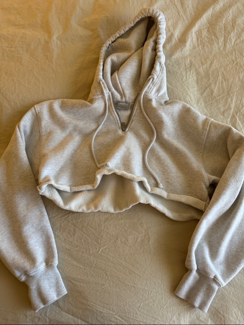 Aritzia TNA cropped light gray hoodie sweatshirt